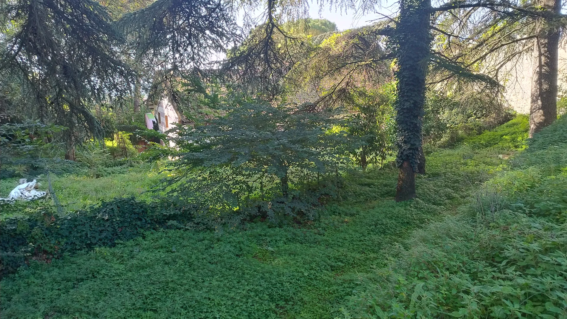 0504